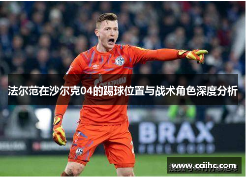 法尔范在沙尔克04的踢球位置与战术角色深度分析